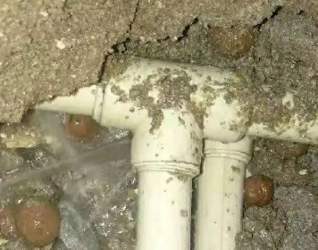 化州测漏水多少钱