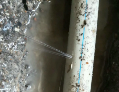 化州测漏水哪家好