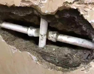 化州测漏水哪家好