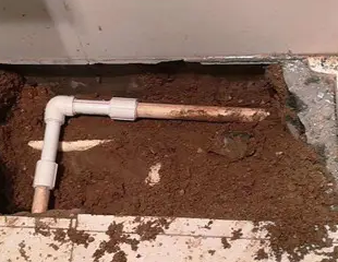 化州测漏水哪家好