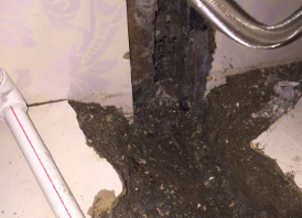 化州卫生间测漏水哪家好