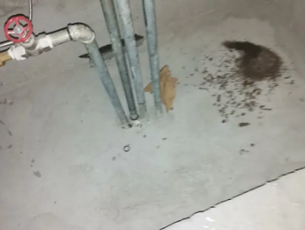 化州卫生间测漏水价格明细