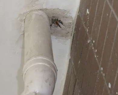 化州漏水检测哪家好